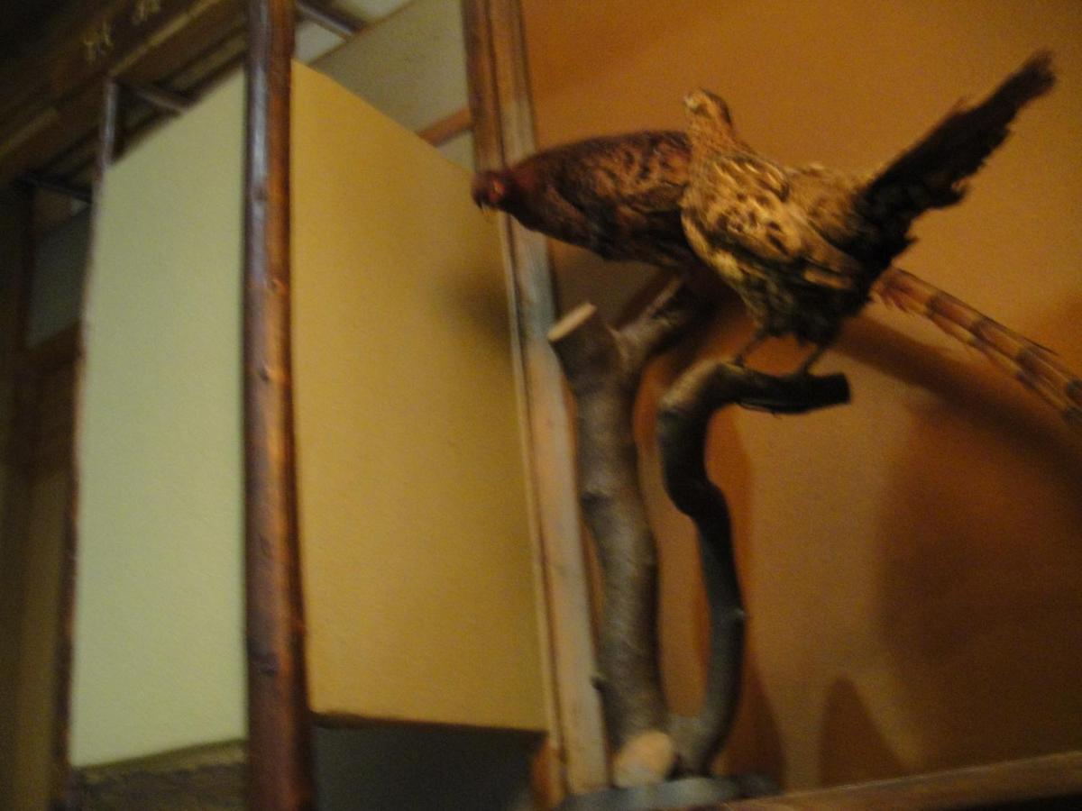 Ikariya Ryokan Yamanouchi  Esterno foto